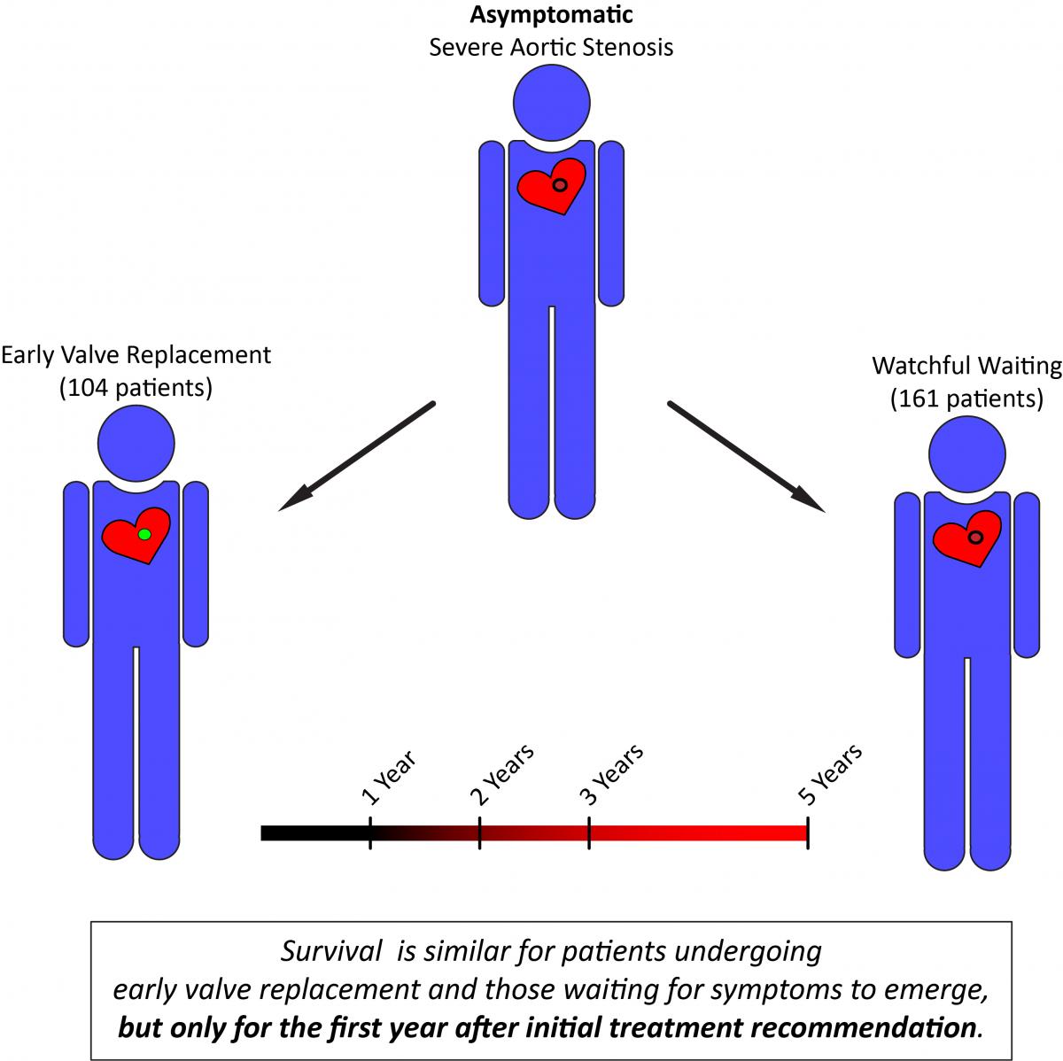 highlighting-recent-research-prognosis-of-severe-asymptomatic-aortic